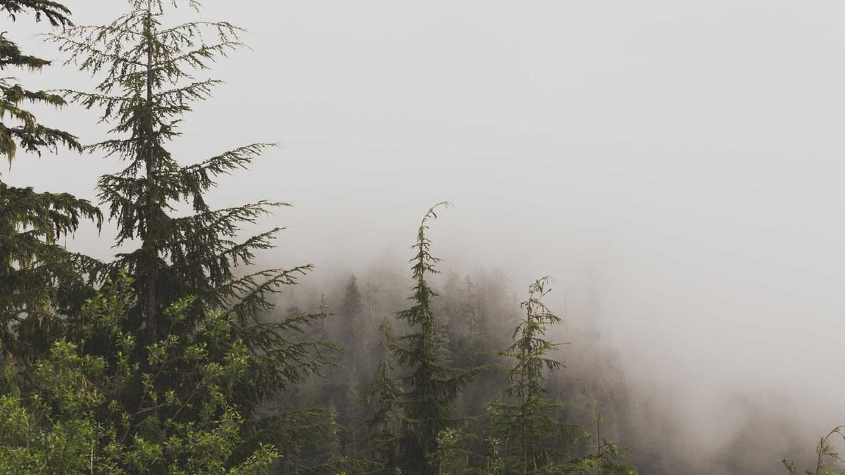 Wall Street banks eyeing private credit comeback - Warm Insight Economy analysis