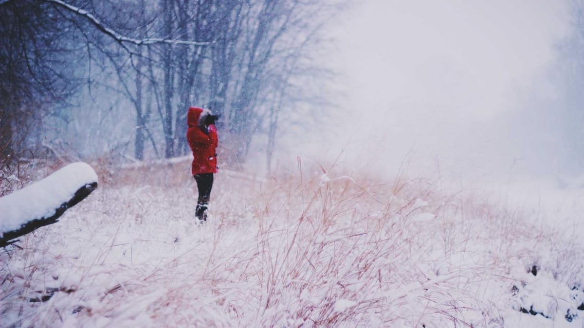 Future health products and disease prevention - Warm Insight Health analysis