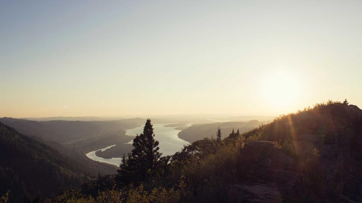 Behavioral biases in healthcare investing - Warm Insight Health analysis