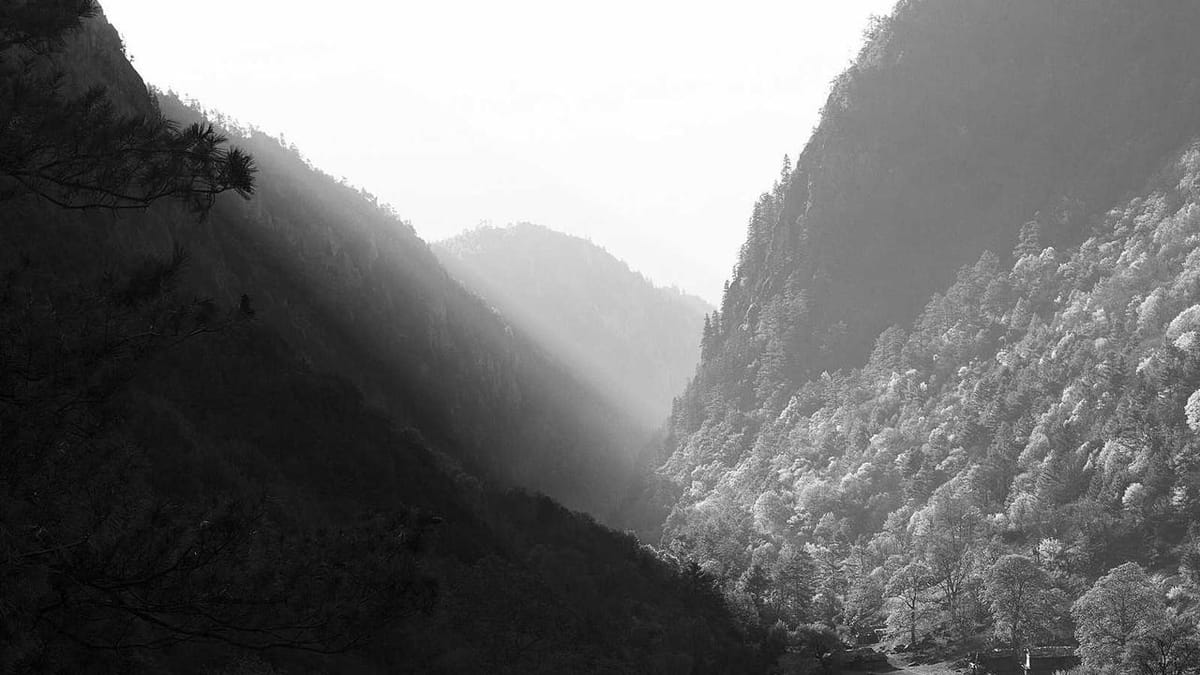 Health and nutrition market trends - Warm Insight Health analysis