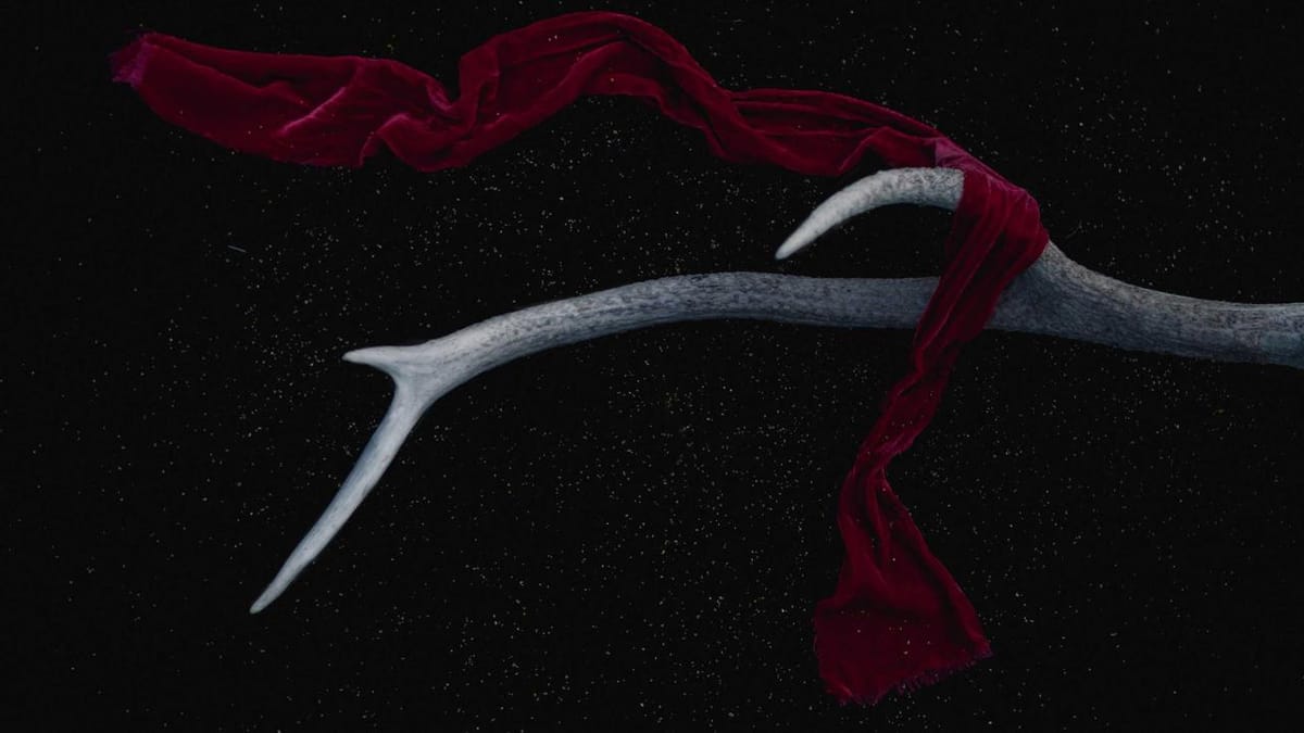 investor psychology and stock market volatility - Warm Insight Economy analysis