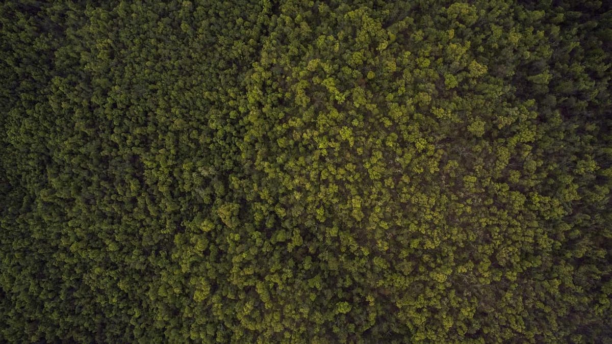 AI infrastructure investment manufacturing supply chain implications - Warm Insight Tech analysis