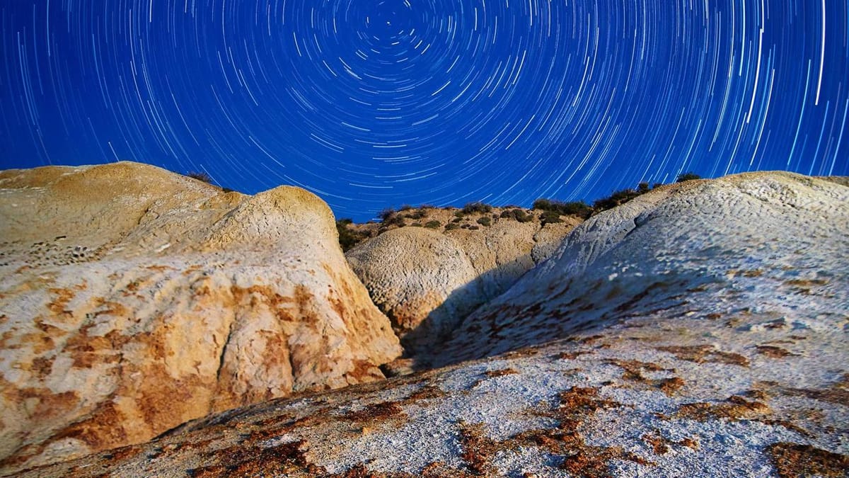 health innovation and nutrition trends - Warm Insight Health analysis