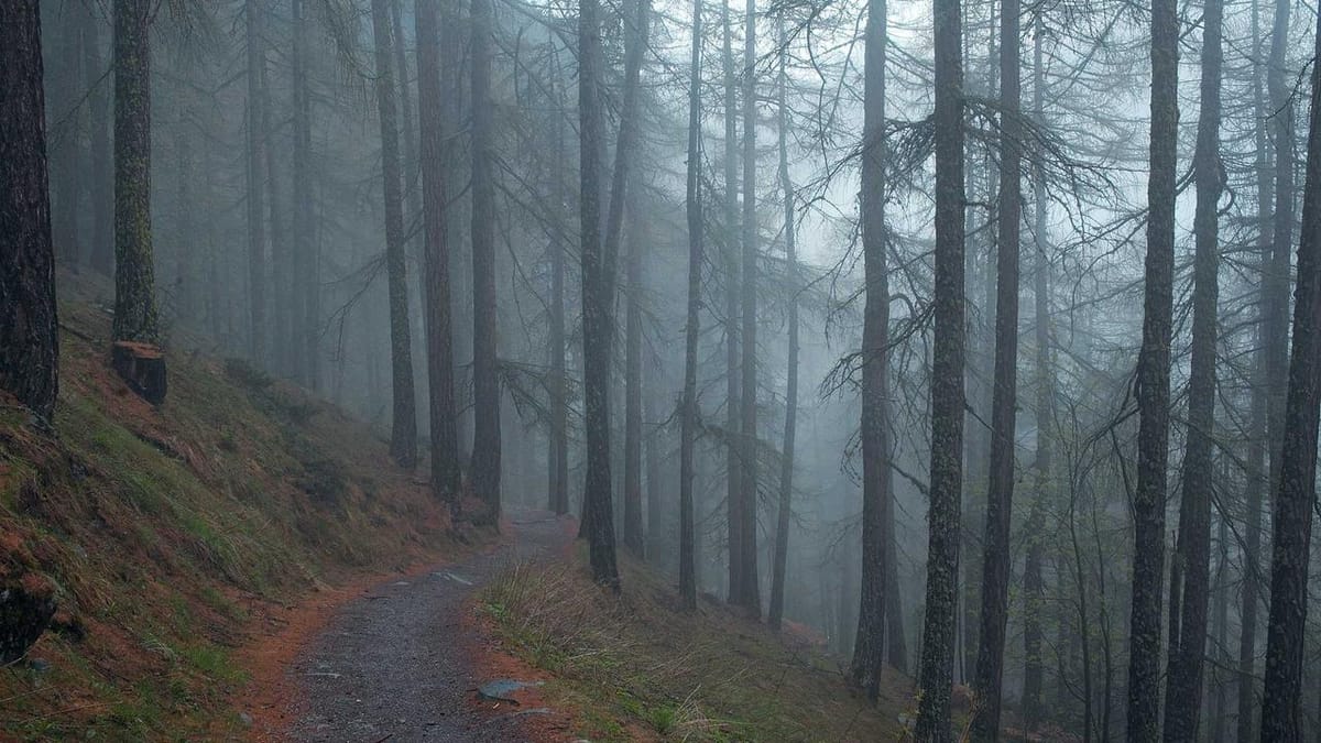 next-generation obesity drug pipeline analysis - Warm Insight Health analysis