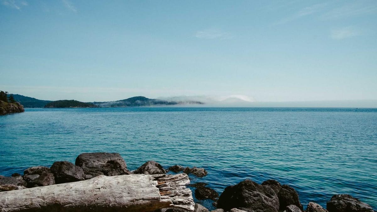 Navigating market uncertainty and investor bias - Warm Insight Economy analysis