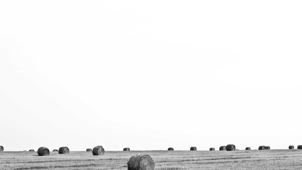 US factory activity and new trade taxes - Warm Insight Energy analysis