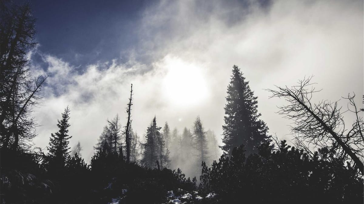 ISM data divergence impact on crude oil - Warm Insight Energy analysis