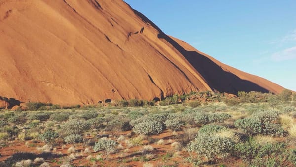 investor psychology of volatile stocks - Warm Insight Economy analysis