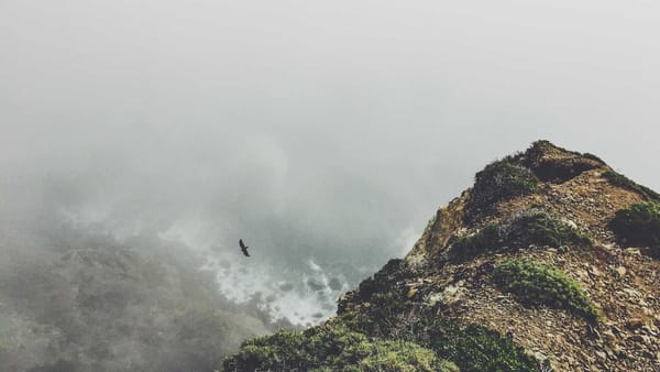 Ukraine aid Middle East redirect analysis - Warm Insight Politics analysis