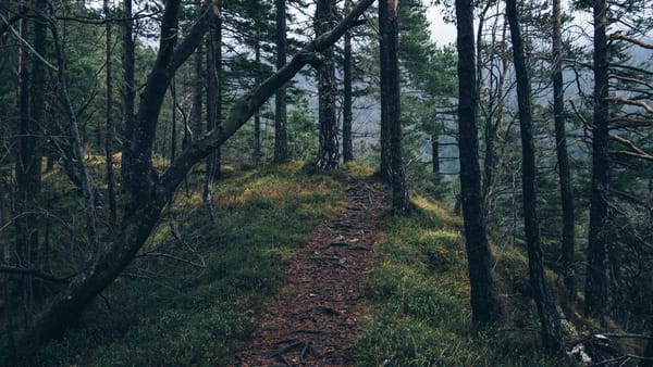 energy price impact on equity valuation - Warm Insight Economy analysis