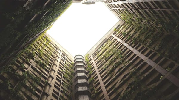 future health and nutrition trends - Warm Insight Health analysis