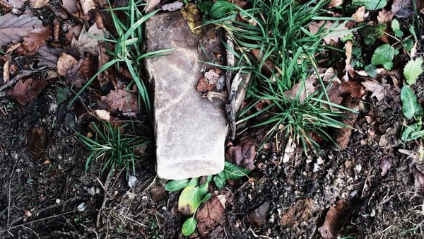 Wall Street banks private credit comeback - Warm Insight Economy analysis