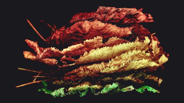 Tech company legal challenges and government views - Warm Insight Tech analysis