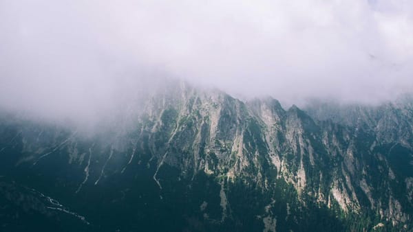 Rapid Tech Adoption Meets Public Scrutiny - Warm Insight Tech analysis