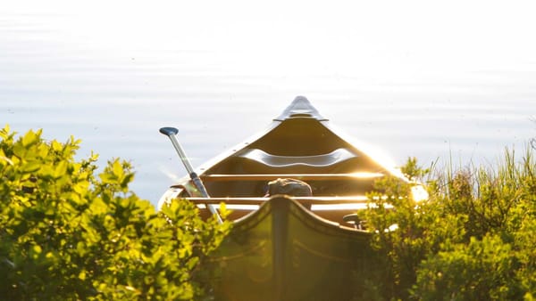 Hawkish Fed manufacturing services divergence implications - Warm Insight Energy analysis