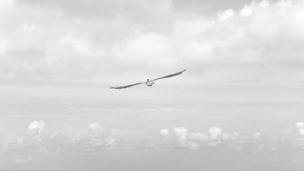 Slowing services sector impact on energy - Warm Insight Energy analysis