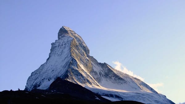 impact of slowing services on energy demand - Warm Insight Energy analysis