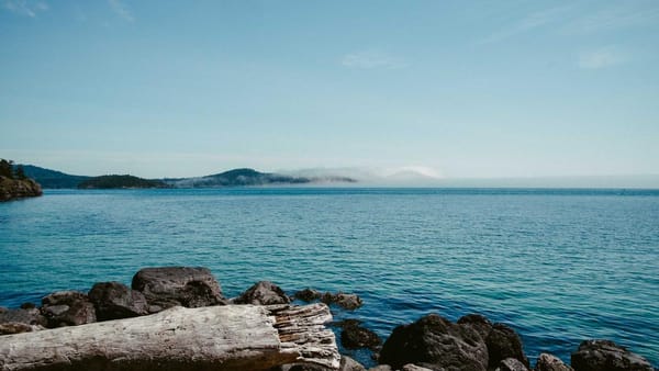 Navigating market uncertainty and investor bias - Warm Insight Economy analysis