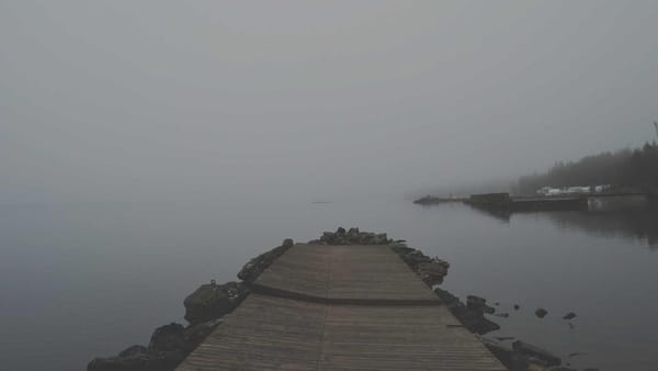 Eli Lilly retatrutide vs Novo Wegovy - Warm Insight Health analysis