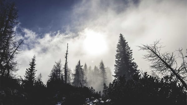 ISM data divergence impact on crude oil - Warm Insight Energy analysis